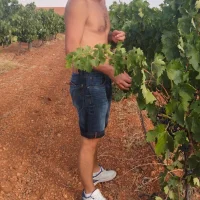 zafiro19%40xh